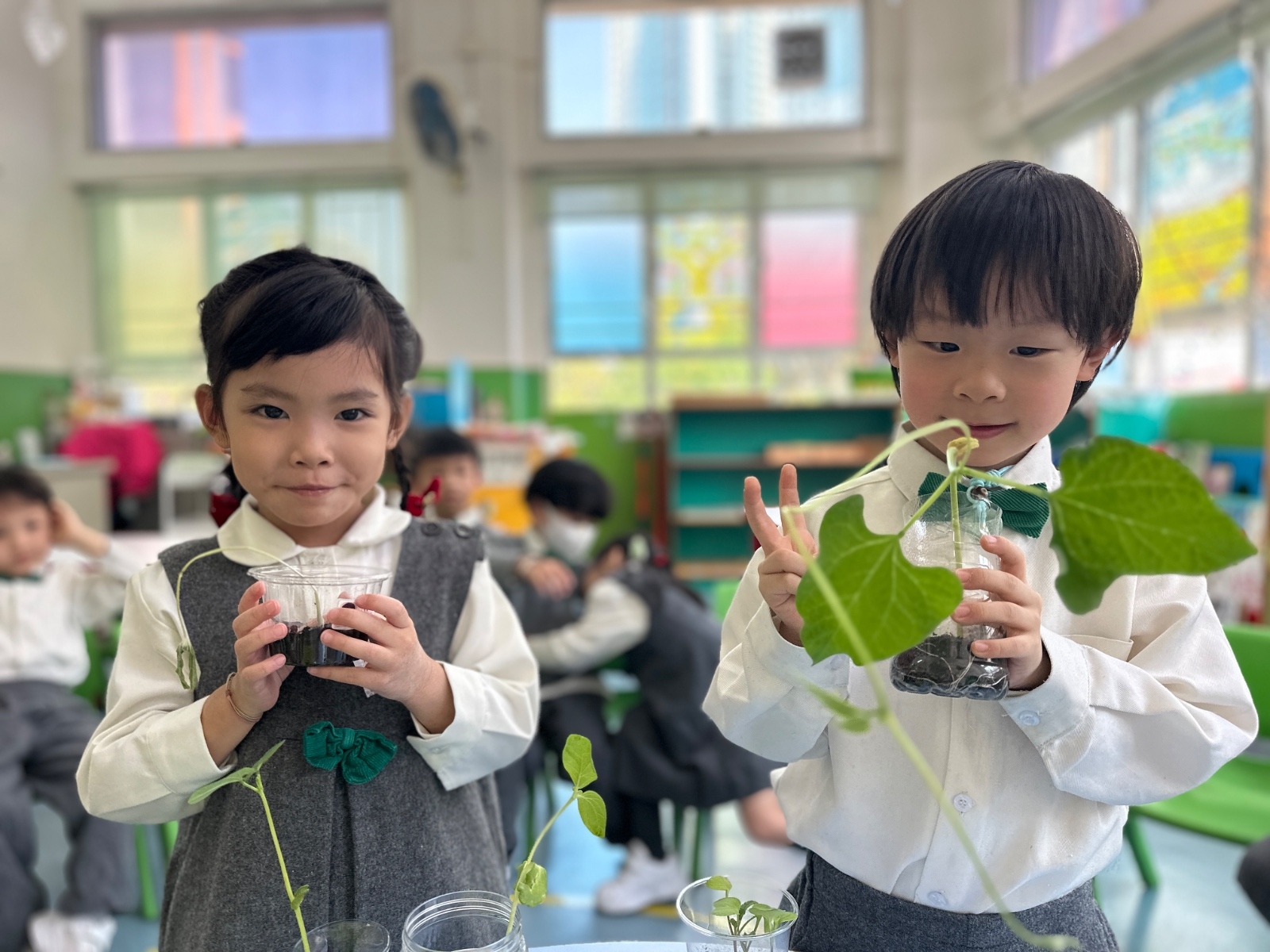本頁圖片/檔案 - WhatsApp_Image_2026-09-04_at_16.59.28